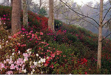 《机械战警：暴戾都市》开发商Teyon希望能开发更多IP授权游戏